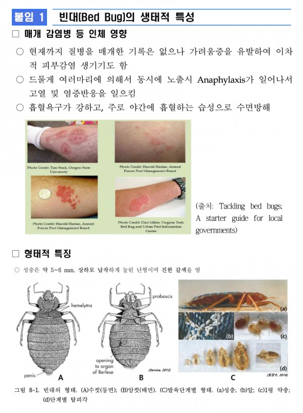 매트리스 위의 빈대